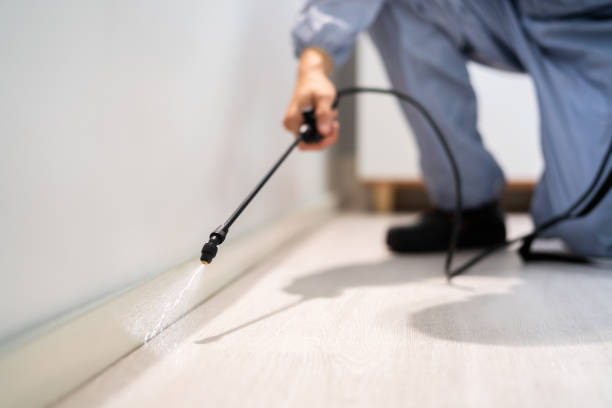 Licensed Rodent Control service in Pulaski, VA - Nex Pest Control