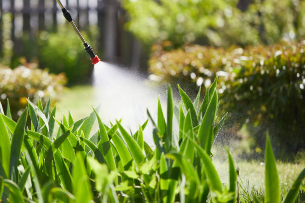 24/7 Emergency Rodent Control experts in Pulaski, VA
