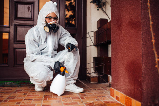 Reliable Rodent Control contractor in Pulaski, VA by Nex Pest Control