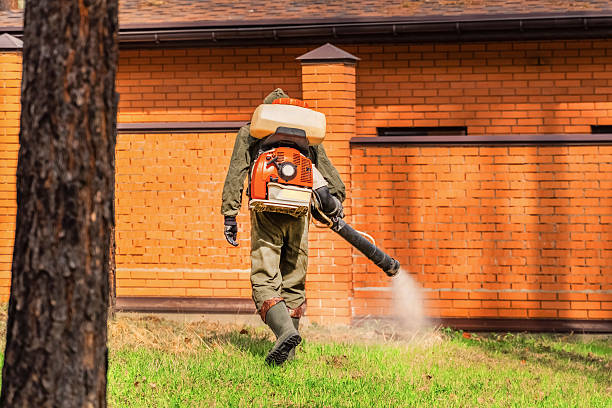 Trusted Rodent Control service in Pulaski, VA - Nex Pest Control